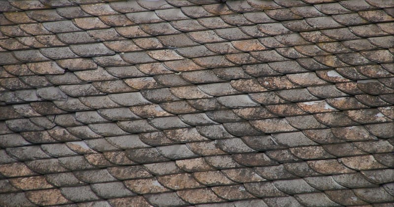 Ardoise : nos conseils pour poser une toiture durable et élégante