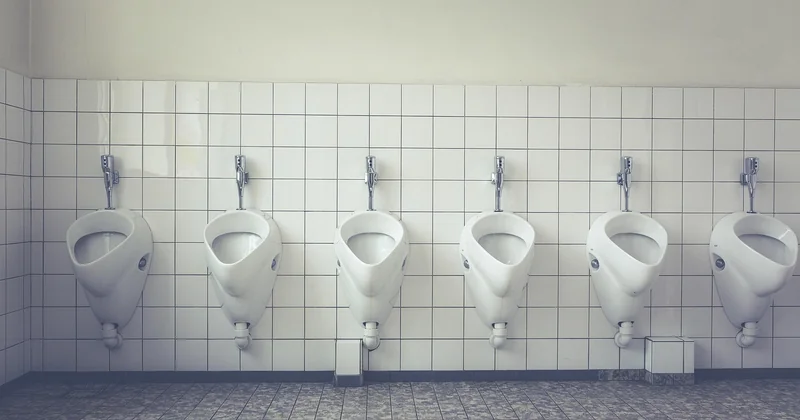 Que faire face à un ver noir dans les toilettes ?