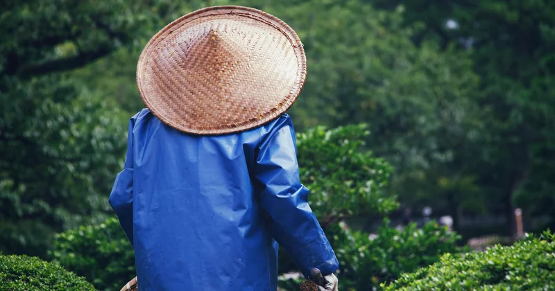 « Le Prince Jardinier », « La Maison du Jardinier » : ne pas tout mélanger
