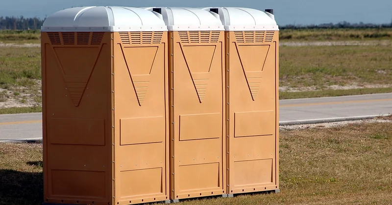 Pourquoi y a-t-il des vers dans les toilettes après une absence ?