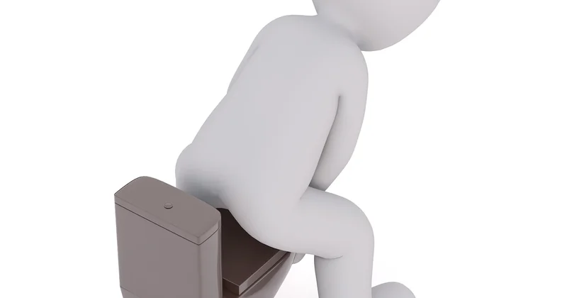 Comment identifier ce ver très fin ? Les 4 coupables possibles