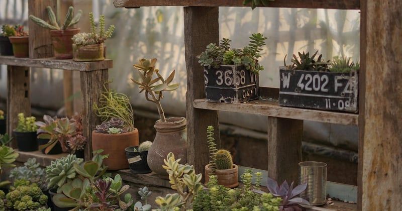 La boutique du jardinier : le paradis secret des passionnés de jardin