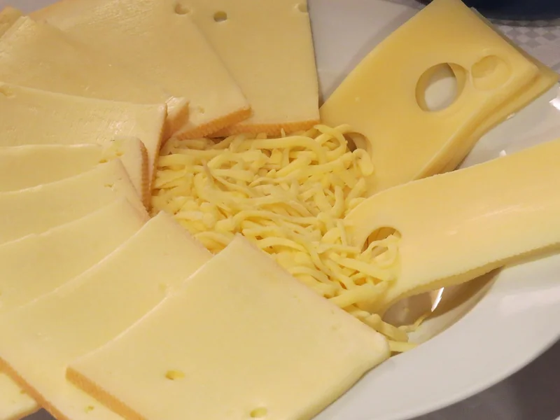 Comment bien choisir son appareil à raclette ?